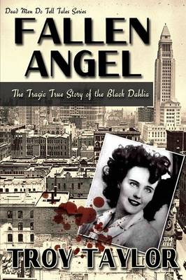 Book cover for Fallen Angel