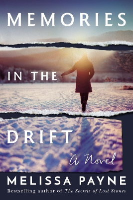 Book cover for Memories in the Drift