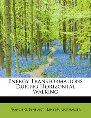 Book cover for Energy Transformations During Horizontal Walking