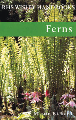 Book cover for Ferns