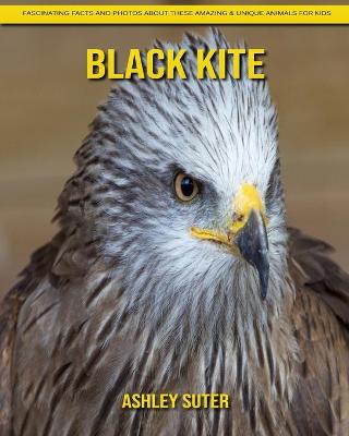 Book cover for Black Kite