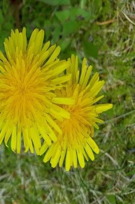 Cover of Journal Double Dandelions Overhead Angle