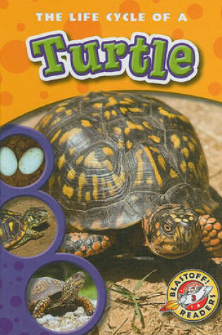 Cover of The Life Cycle of a Turtle