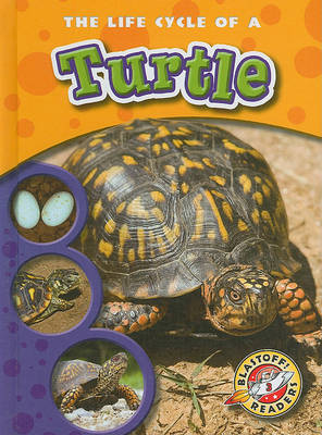 Book cover for The Life Cycle of a Turtle