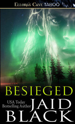 Book cover for Besieged