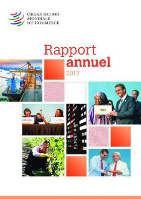 Book cover for Rapport Annuel 2017