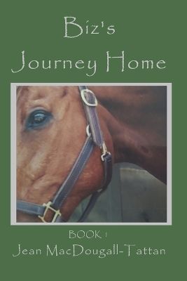 Book cover for Biz's Journey Home