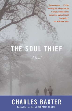 Book cover for The Soul Thief