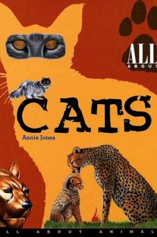 Cover of All about Cats
