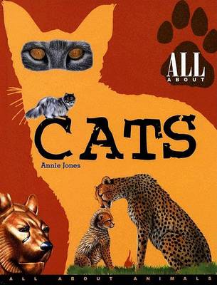 Book cover for All about Cats