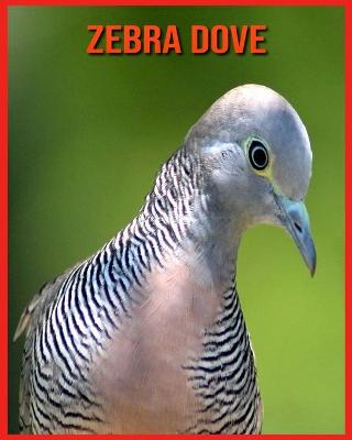 Book cover for Zebra Dove