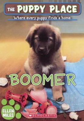 Cover of Boomer