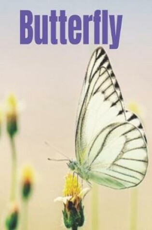 Cover of Butterfly