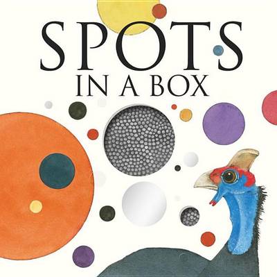 Book cover for Spots in a Box