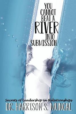 Book cover for You Cannot Beat a River into Submission
