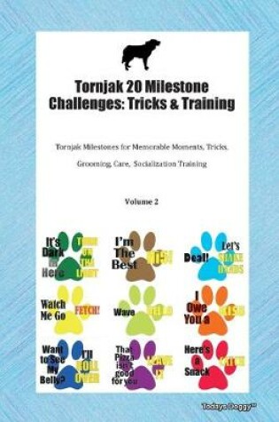 Cover of Tornjak 20 Milestone Challenges