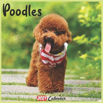 Book cover for Poodles 2021 Calendar