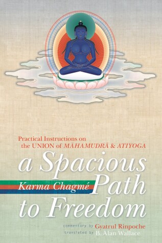 Book cover for A Spacious Path to Freedom