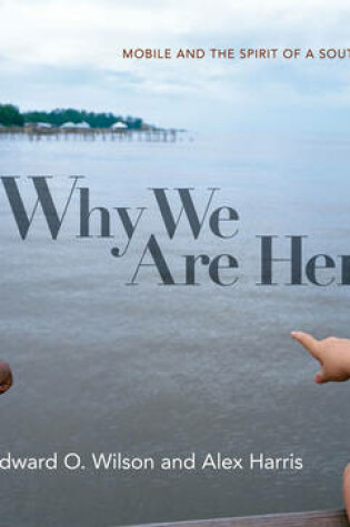 Cover of Why We Are Here