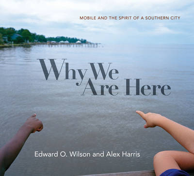 Book cover for Why We Are Here