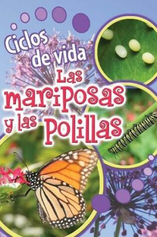 Cover of Ciclos de Vida de Las Mariposas Y Las Polillas