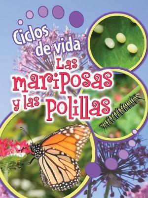 Book cover for Ciclos de Vida de Las Mariposas Y Las Polillas