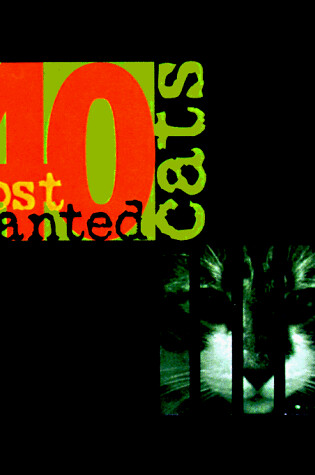 Cover of 40 Most Wanted Cats