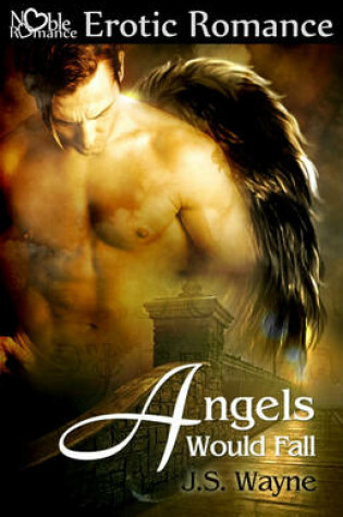 Cover of Angels Would Fall