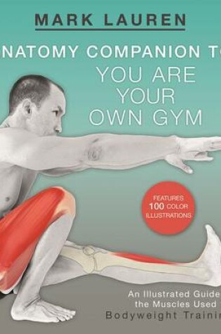 Cover of Anatomy Companion to You Are Your Own Gym