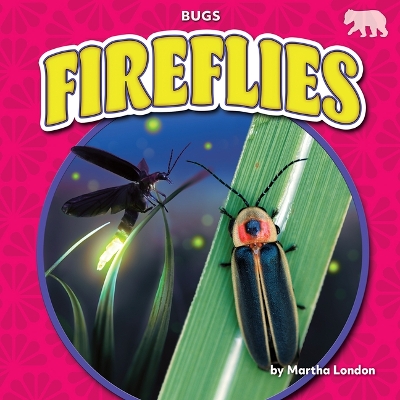 Cover of Fireflies