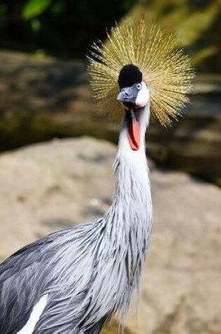 Cover of Grey Crowned Crane Profile Journal