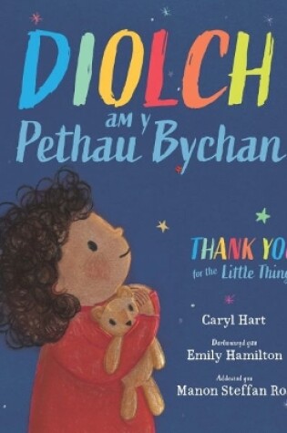 Cover of Diolch am y Pethau Bychan / Thank you for the Little Things