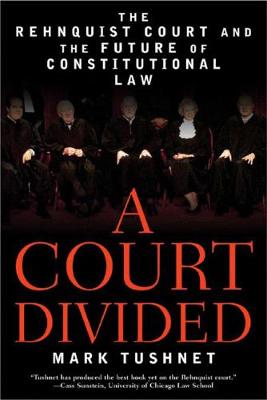 Book cover for A Court Divided