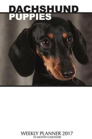 Cover of Dachshund Puppies Weekly Planner 2017