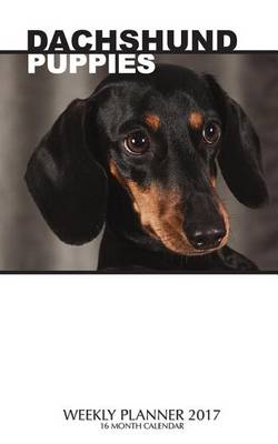 Book cover for Dachshund Puppies Weekly Planner 2017