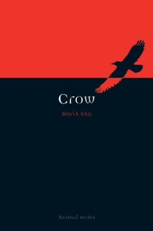 Crow