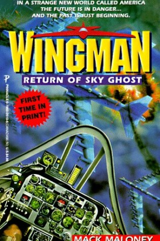 Cover of Return of the Sky Ghost
