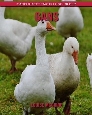 Cover of Gans