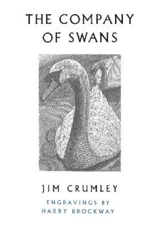 Cover of The Company of Swans