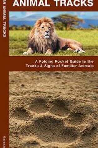 Cover of African Animal Tracks