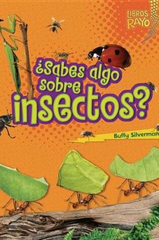 Cover of Sabes Algo Sobre Insectos? (Do You Know about Insects?)