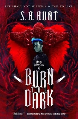 Book cover for Burn the Dark