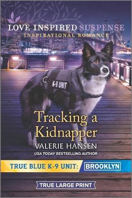 Book cover for Tracking a Kidnapper