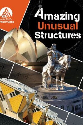 Cover of Amazing Unusual Structures
