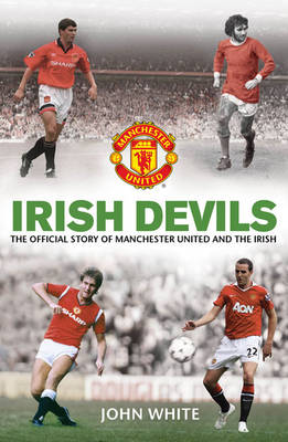 Book cover for Irish Devils