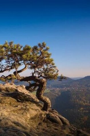 Cover of Natural Bonsai Notebook