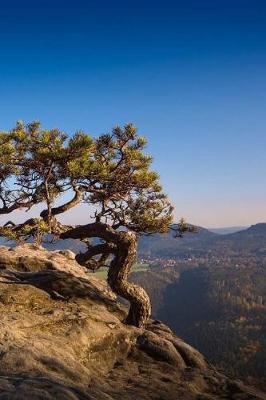 Book cover for Natural Bonsai Notebook