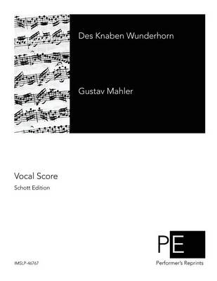 Book cover for Des Knaben Wunderhorn