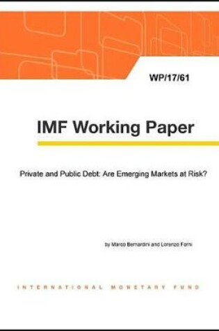 Cover of Private and Public Debt