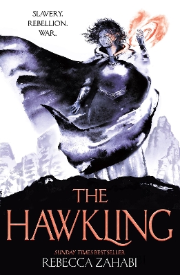 Book cover for The Hawkling